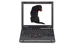 ThinkPad i Series 1620 C[W